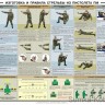 Плакат «Изготовка и правила стрельбы из пистолета ПМ»